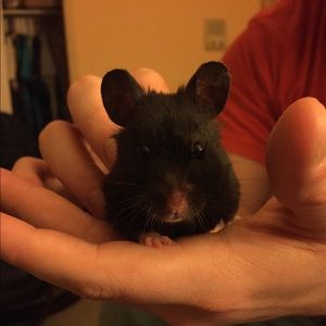 Meet your Posher, Jenny